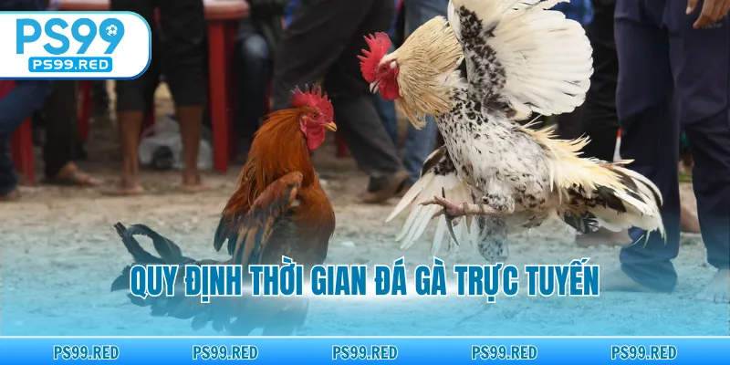 Quy định thời gian đá gà trực tuyến